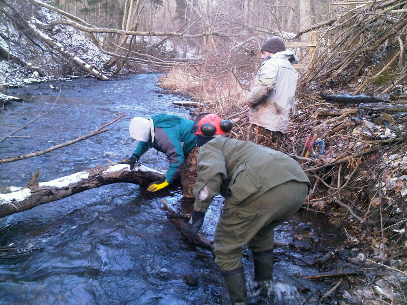Removing Debris